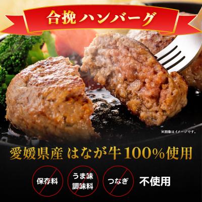 ふるさと納税 西予市 <合挽ハンバーグセット 6個(1個150g)> セット ハンバーグ はんばーぐ 合挽肉 肉 お肉 |  | 01