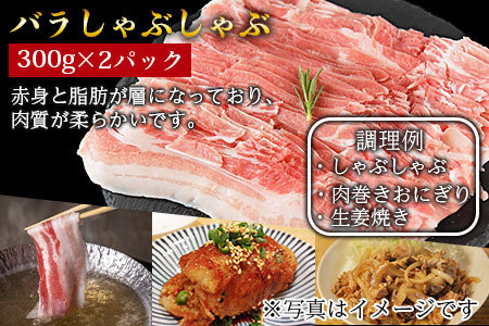 数量限定＜宮崎県産豚肉詰め合わせセット 合計1.8kg＞2か月以内に順次出荷【 豚 肉 豚肉 冷凍 送料無料 豚肉炒め物 豚肉料理 大容量豚肉 普段使い豚肉 豚肉鍋 豚肉巻き 豚肉野菜巻き 豚肉冷しゃ