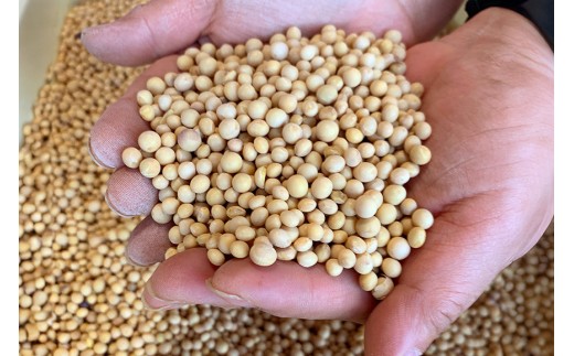 極小粒　大豆 10kg 岡田ファーム だいず ダイズ 国産 小粒 大容量 料理 煮豆 豆乳 納豆 用途多彩 健康食品 高たんぱく 保存食 産地直送 送料無料 (B02-025)