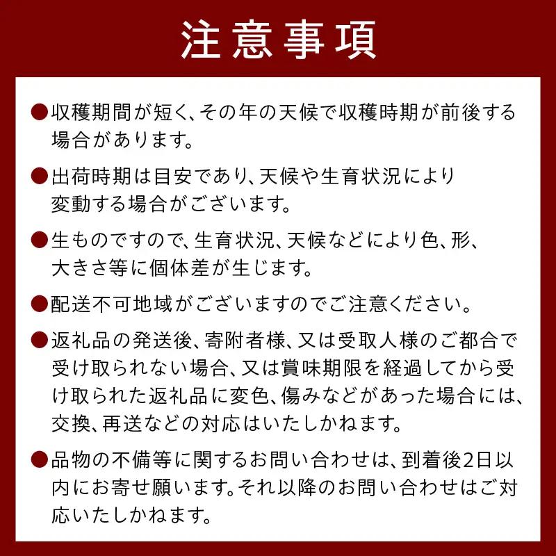 【数量限定 先行予約 幻のメロン】新芳露 2玉 シンホウロメロン