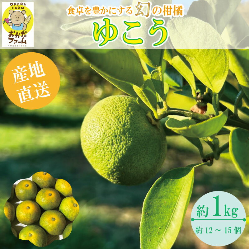 【ふるさと納税】 【2025年10月中旬順次発送】 ゆこう 1kg 柑橘 柚柑 ゆず すだち みかん 柚子 ユズ ダイダイ 酢 お酢 寿司酢 果実酢 果汁 お酒 酒 ビール ピール 付け合せ 人気 健康 美容