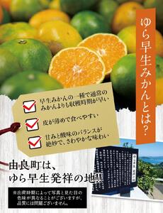 【糖度11度以上!】ゆら早生みかん「ゆらっ子」5kg ※2026年10月上旬～10月下旬頃に順次発送予定(お届け日指定不可) / 極早生 早生 由良町 和歌山県 柑橘 密柑 完熟 甘い ミカン 光セン