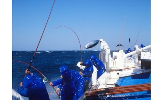 【串本町×北山村】黄金藁焼一本釣り戻り鰹タタキ1kgとじゃばらポンズ100mlのセット かつおのたたき カツオ わら焼き 【1か月以内に発送】【nks100B】