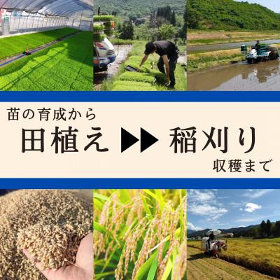 ふるさと納税 魚沼市 令和7年産 ブランド米 魚沼産コシヒカリ5kg 精米 |  | 02