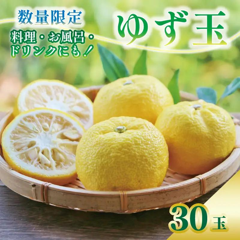 【先行予約】 安田町産 ゆず玉 料理にお酒にお風呂にどうぞ 期間限定 TR-36