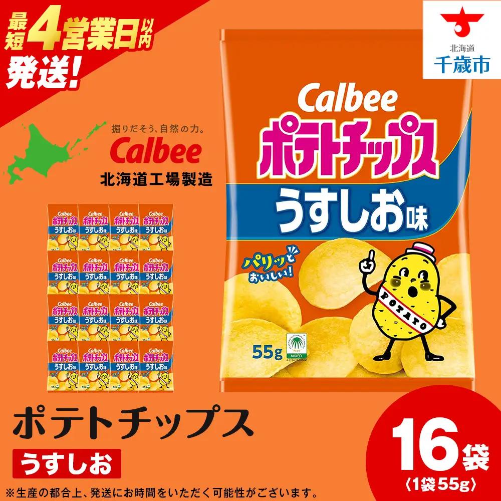 カルビーポテトチップス＜うすしお＞16袋入×1箱《千歳工場製造》