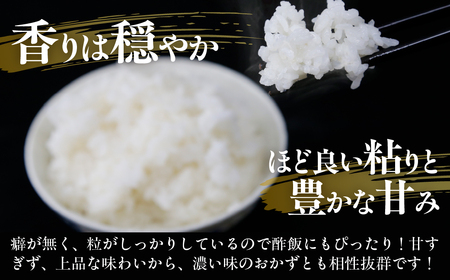 北海道 豊浦 令和7年度産 精米 ゆめぴりか 5kg TYUQ008