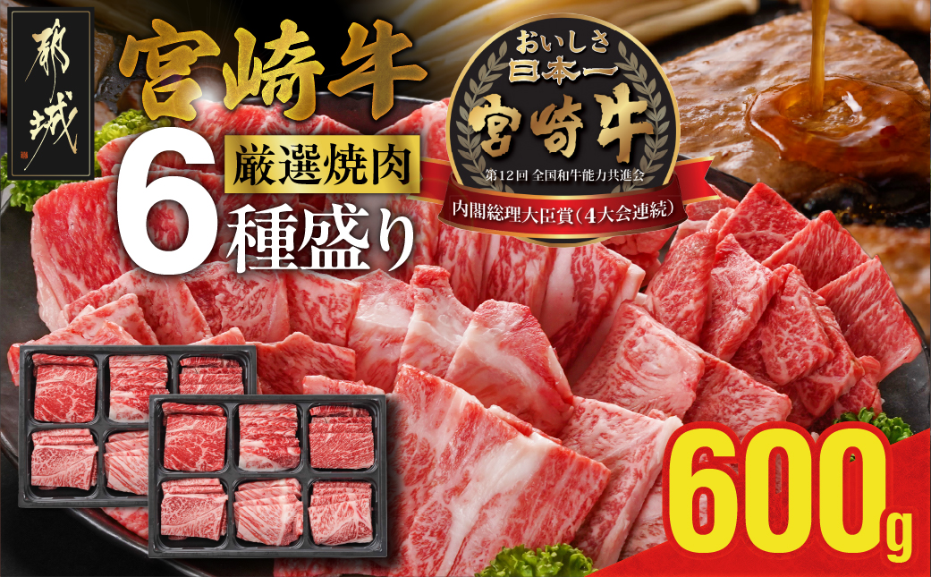 宮崎牛6種盛り肉箱焼肉食べ比べ600g_AC-N201