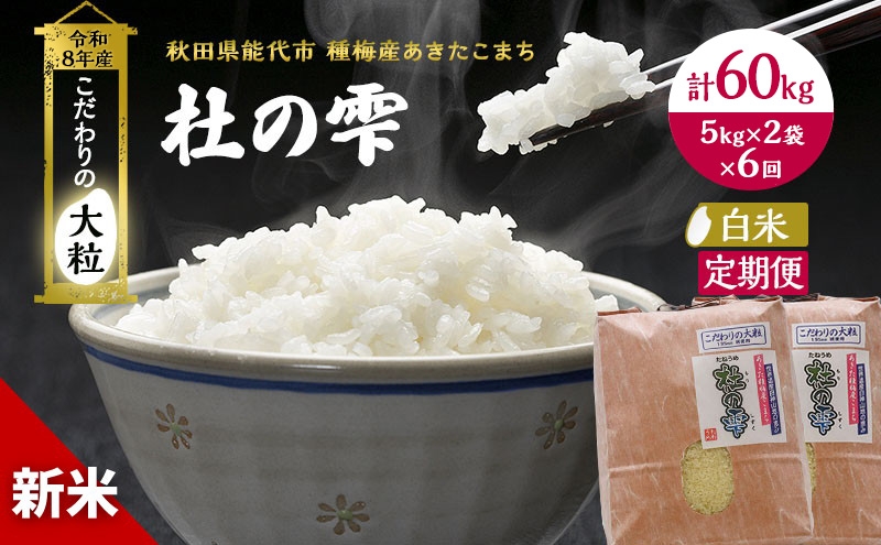 
                  新米 先行予約 令和8年産[白米]【定期便6ヶ月】秋田県産 あきたこまち 10kg(5kg×2)×6回 計60kg 「杜の雫」こだわりの大粒 種梅産【 お米 おこめ たねうめ 精米 ご飯 ごはん ブランド米 大粒 おにぎり 産地直送 能代 】
                