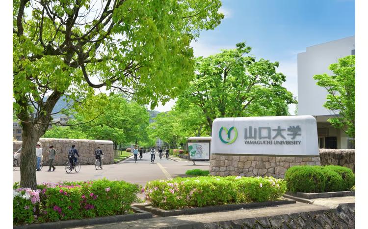 K013 【返礼品なし】山口大学支援事業（教育研究・人材育成・地域貢献活動への支援） | 山口県山口市 学生応援