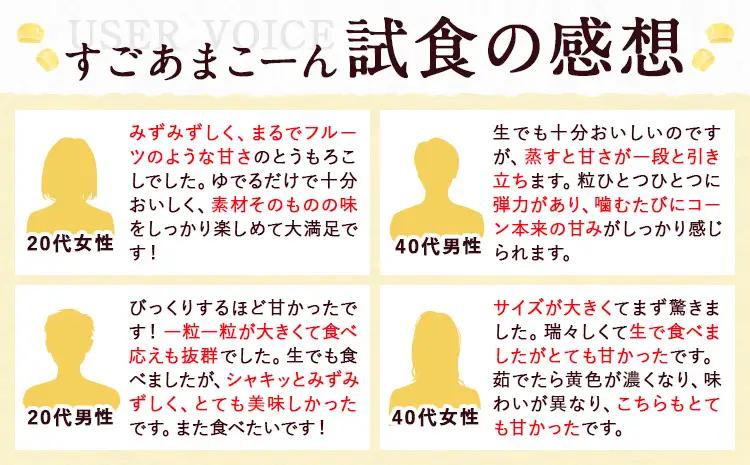 とうもろこし 15本 とうもろこし【着日指定不可】