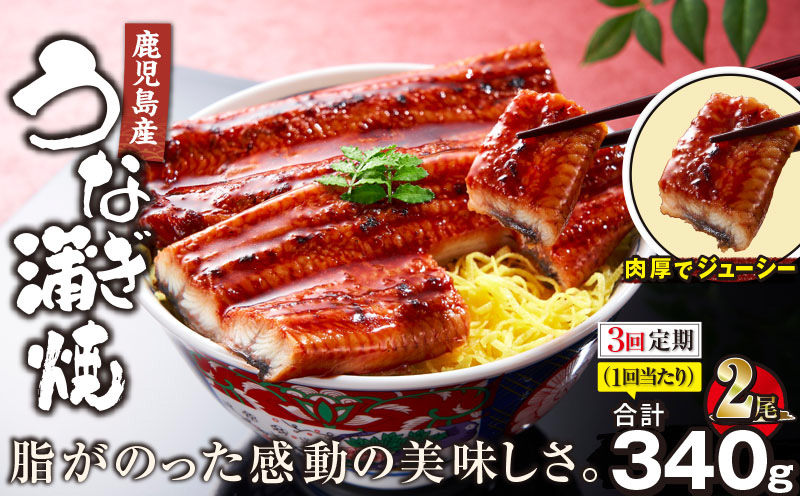 1881-3 【全3回定期便】鹿児島産うなぎ 合計340g（170g×2尾） 清らかな地下水育ち！　KN021-T02