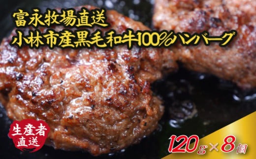 【自社農場和牛】富永和牛手作りハンバーグ（黒毛和牛 ハンバーグ 牛肉 牛肉100% 国産 冷凍 調理済 宮崎 惣菜 小林市）