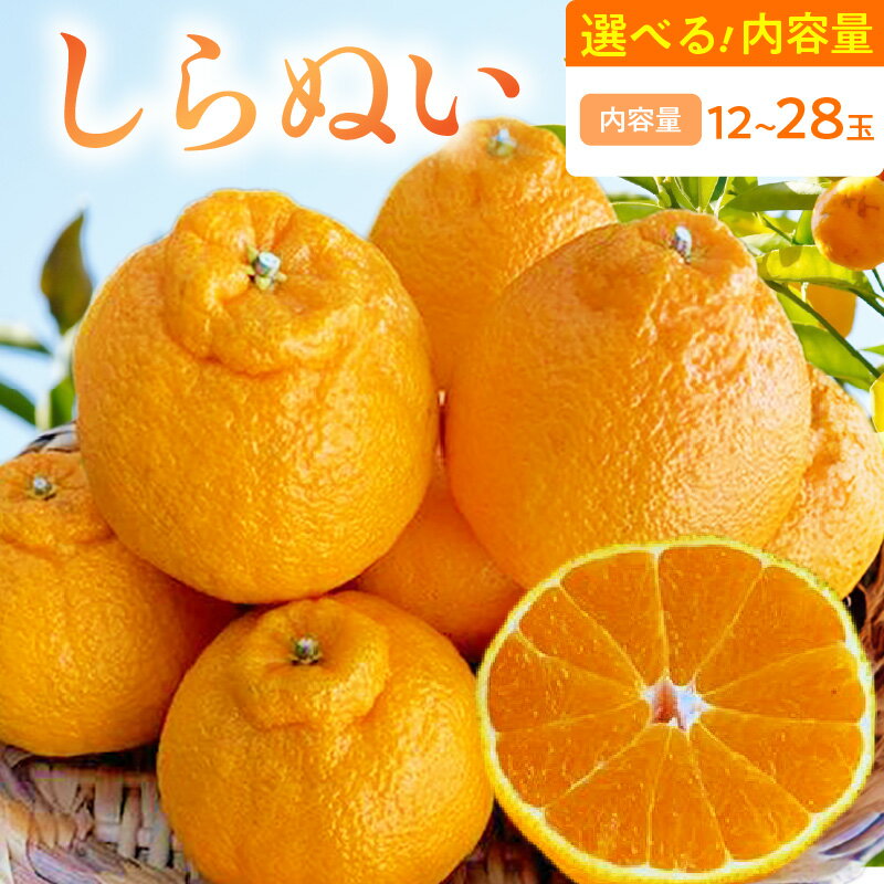 【ふるさと納税】【2026年先行受付】 しらぬい デコポン 選べる内容量 12 ～ 28玉 和歌山県 有田産 みかん 春柑橘 柑橘 果物 果実 果肉 フルーツ ビタミン 食品 国産 お取り寄せ お取り寄せフルーツ 湯浅町 送料無料