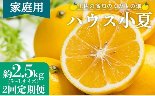 
                  【2026年出荷分】【2回定期便】土佐の高知のくだもの畑 ハウス小夏2.5kg(家庭用) 高知 土佐 こなつ 果物 フルーツ 土佐の高知のくだもの畑 【先行予約】 - 家庭用 訳あり 小夏 こなつ ハウス ミカン みかん 蜜柑 柑橘 果物 フルーツ こなつ のし対応可 熨斗 国産 S M L サイズ 定期便 Wkd-0033
                