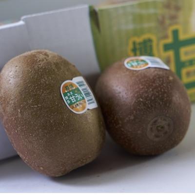 ふるさと納税 福岡市 福岡県産限定オリジナルキウイ・甘うぃ約1.5kg(福岡市返礼品) |  | 01