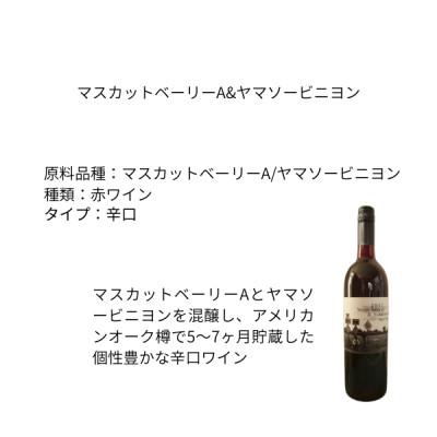 ふるさと納税 山梨市 東晨洋酒 マスカットベーリーA&ヤマソービニヨン 無添加ワイン |  | 01