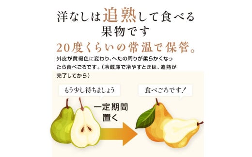 阿部農縁　希少な洋梨ゼネラルレクラーク2kg(4～6玉)　福島