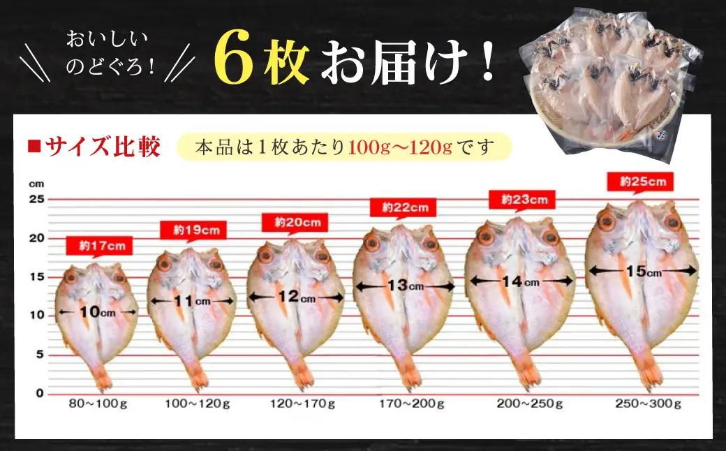 【どんちっちブランド】のどぐろ一夜干し（100g～120gｘ6枚） 一夜干し おつまみ ブランド魚 アカムツ 国産 のどぐろ【136_1979】