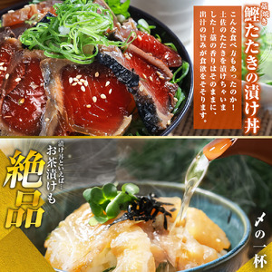 訳あり海鮮漬け丼（5種×各1P）セット　漬け丼 まぐろ イカ ぶり 鯛 タイ カツオのタタキ 鰹タタキ 食べ比べ 海鮮 魚 冷凍 食品 保存食 小分け 高知 土佐 海鮮丼 鯛めし 漬け丼 惣菜 そうざ