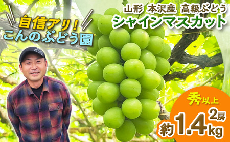 大人気！【こんのぶどう園】山形本沢産 高級ぶどう シャインマスカット 2房 【令和8年産先行予約】FS25-720 フルーツ くだもの 果物 山形 山形県 山形市 ぶどう 葡萄 ブドウ セット 2026年産 