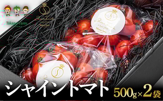 シャイントマト　1キロ 500g×2袋【1607127】