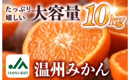 【先行予約】温州みかん 10kg [KC00760] 2026年11月下旬～12月下旬に順次発送予定 期間限定 ふるさと納税ミカン 温州ミカン 甘いみかん 愛媛みかん 果物 フルーツ ふるさと納税フルーツ 愛媛ふるさと納税 愛媛県ふるさと納税 JA