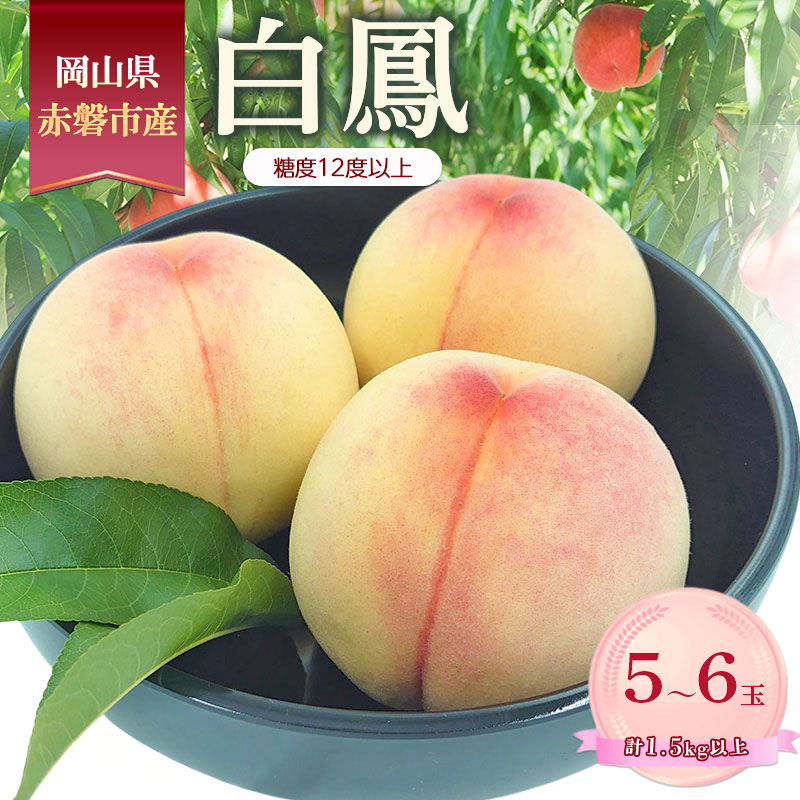 【ふるさと納税】桃 2026年 数量限定 白鳳 糖度12度以上 5-6玉 計1.5kg以上 岡山県 赤磐市産　お届け：2026年7月上旬～2026年7月下旬