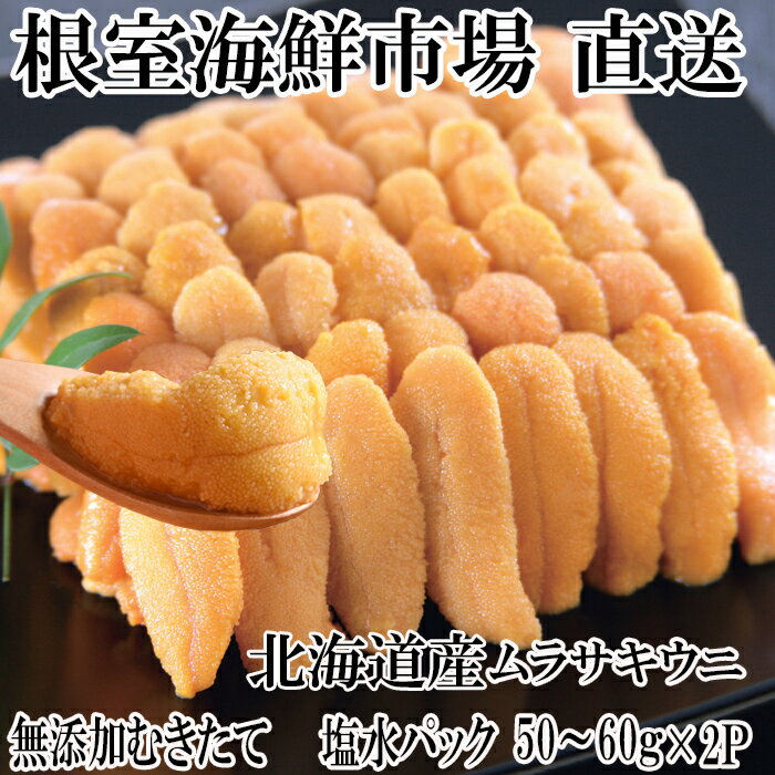 【ふるさと納税】 無添加むきたてムラサキウニ塩水パック 50 ~ 60g × 2P [5月下旬以降発送] うに ウニ 雲丹 ムラサキうに むらさきうに 紫うに 紫ウニ 紫雲丹 ウニ丼 うに丼 雲丹丼 刺身 お取り寄せ グルメ 海鮮 北海道 根室市 ふるさと納税 A-14215