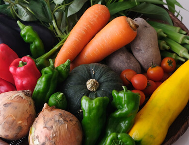 ＜5か月定期便＞2027年発送【緑のゆうき】購入された野菜の売上の1％が、社会貢献に 京都産のこだわり野菜（有機野菜、栽培期間中農薬・化学肥料不使用など）を 美味しいタイミングで収穫したセット	