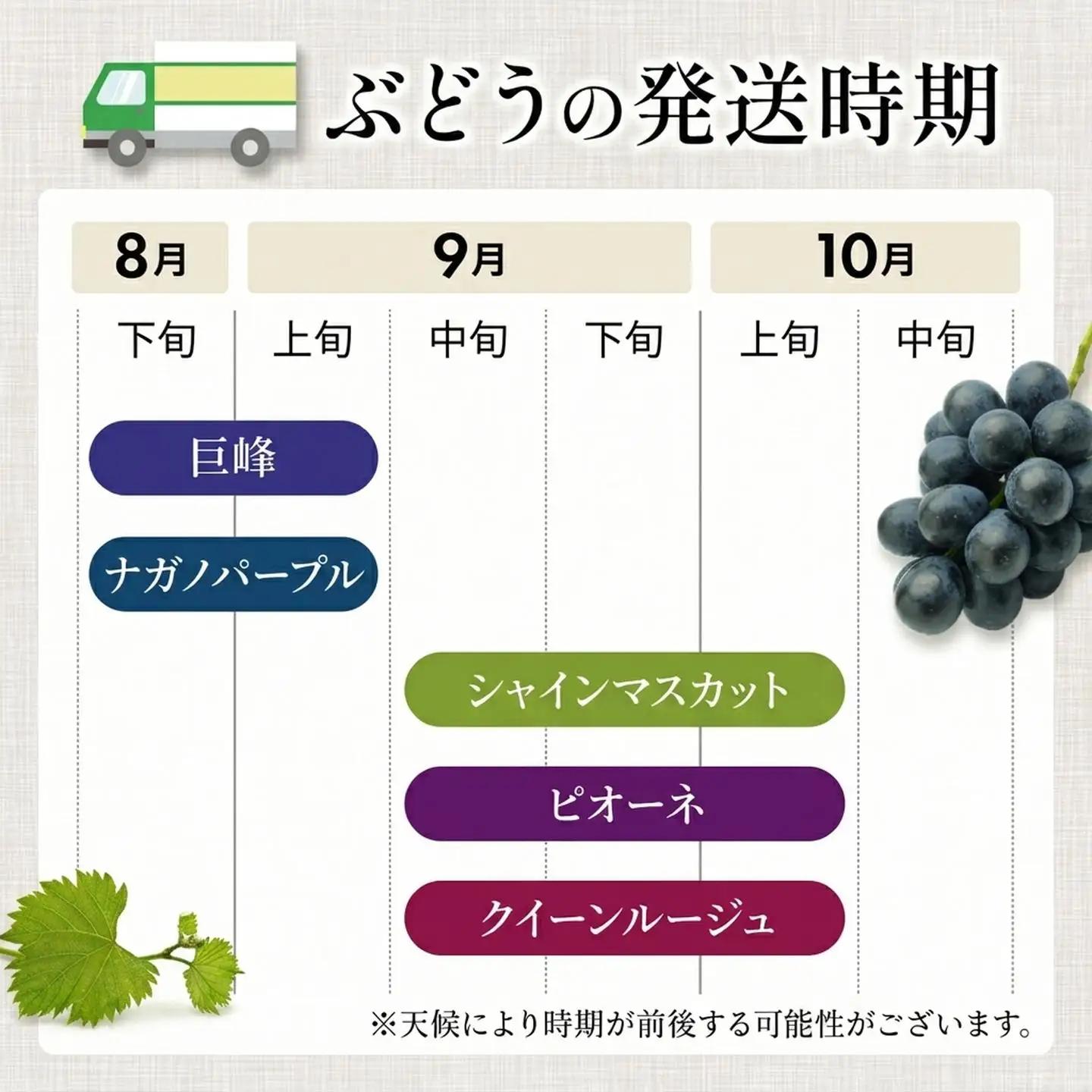 ぶどう ピオーネ 約2㎏ ぶどう