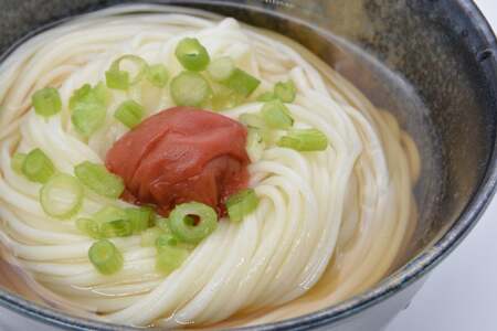 DE272 島原手延うどん　山水の糸　1袋（200g）