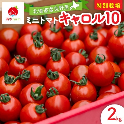 
                  ＜2026年発送＞清水farm＜ミニトマト2kg＞(品種:キャロル10)【1687595】
                