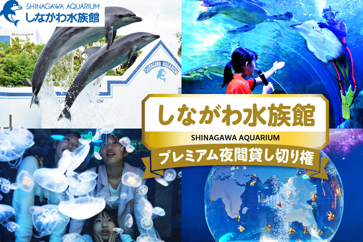 
                  しながわ水族館プレミアム夜間貸し切り権 利用券 入場券 体験 観光 旅行  ギフト プレゼント 贈り物 貸し切り しなすい イルカショー 水中ショー
                