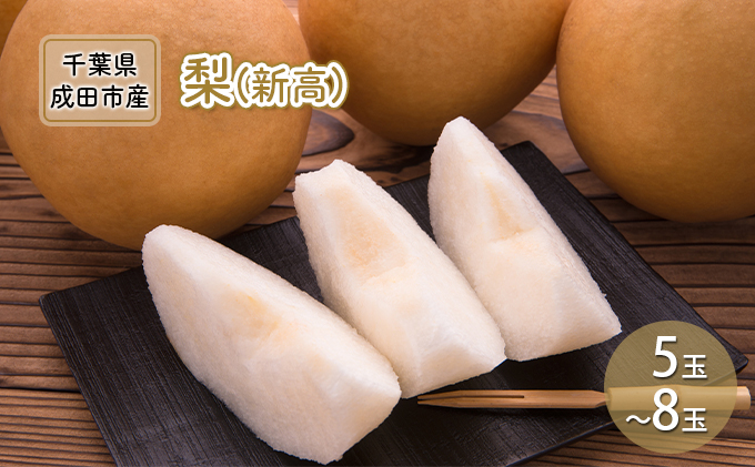 
            [№5904-0236]梨 先行予約 新高 5～8玉 なし ナシ 和梨 果物 くだもの フルーツ 旬のフルーツ 旬の果物 デザート 千葉 千葉県 成田市
          