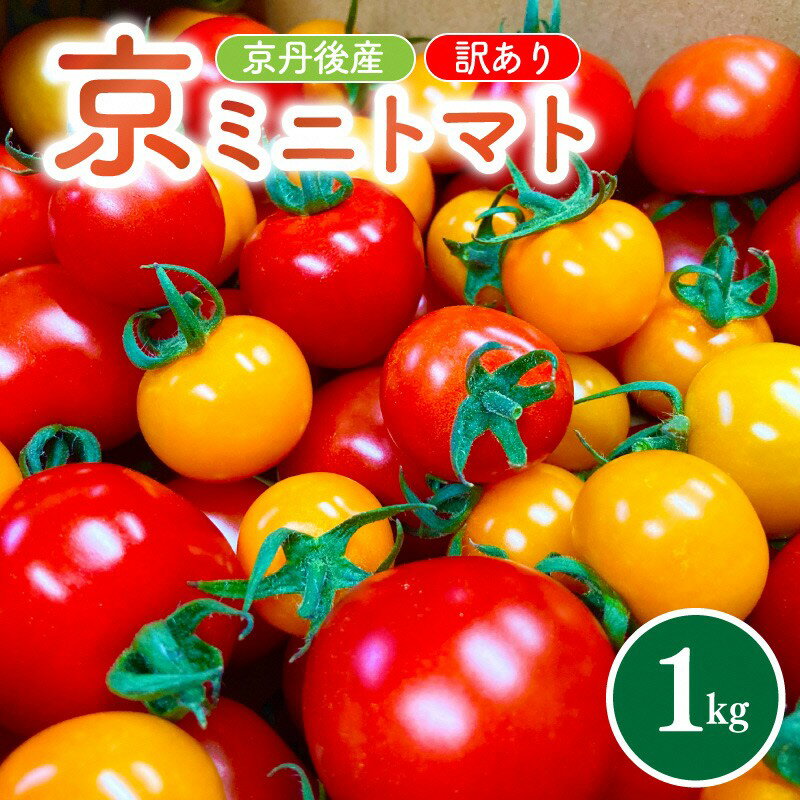 【ふるさと納税】【先行予約】訳あり・新鮮カラフルトマト／京丹後産・京ミニトマト 1kg（2026年5月中旬～発送） 野菜 ミニトマト 1キロ サラダ 色とりどり とまと 京野菜 ふるさと納税 トマト 不揃い ふぞろい わけあり 訳アリ ワケアリ 訳有り 1きろ tomato JA京都 農協