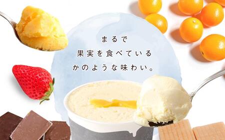 行列のできる有馬温泉スタジオーネのジェラート6個詰め合わせ