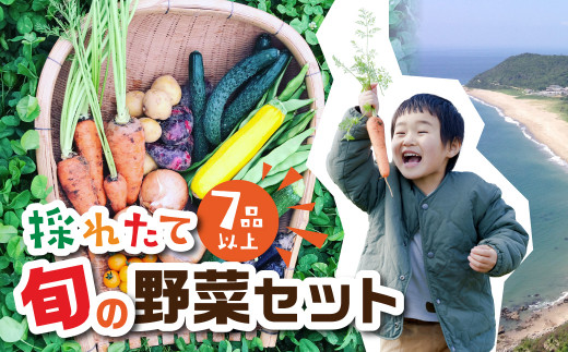 金賞受賞 有機栽培 旬彩野菜セット 旬の野菜 7品目以上 レシピ付き お届け 国産 新鮮 農薬不使用 化学肥料不使用 産地直送 こだわり野菜