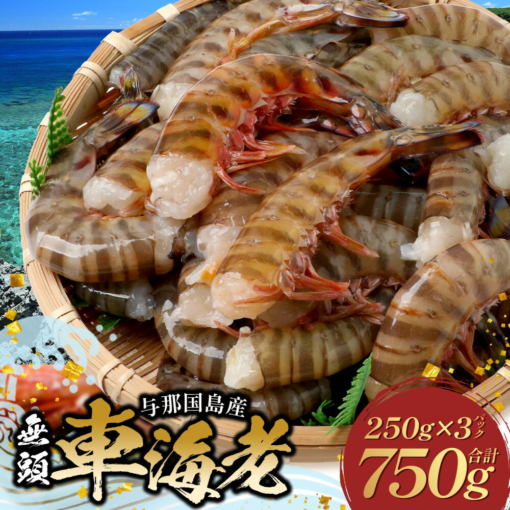 【ふるさと納税】こだわりの車海老 無頭車海老 冷凍 250g×3パック 合計750g ｜与那国島 沖縄 与那国 車エビ クルマエビ 車えび くるまえび エビフライ 炒め物 揚げ物 和食 洋食 養殖 お祝い 縁起物 贈答 プレゼント 贈り物 炉端焼き