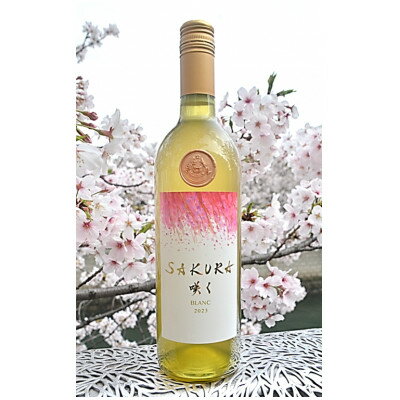 【ふるさと納税】【数量限定】佐倉産初のワイン!混醸辛口白ワイン　750ml×1本【配送不可地域：離島】【1637173】