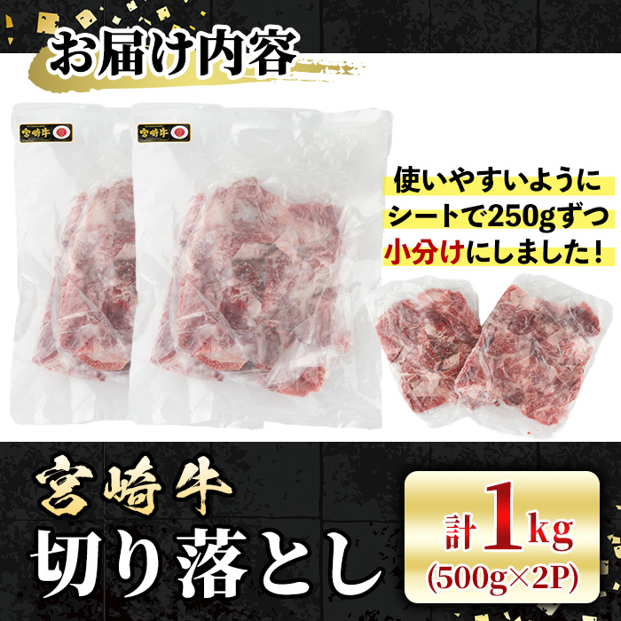 宮崎牛 切り落とし(計1kg・500g×2P)【LJ005】【レグセントジョイラー株式会社】