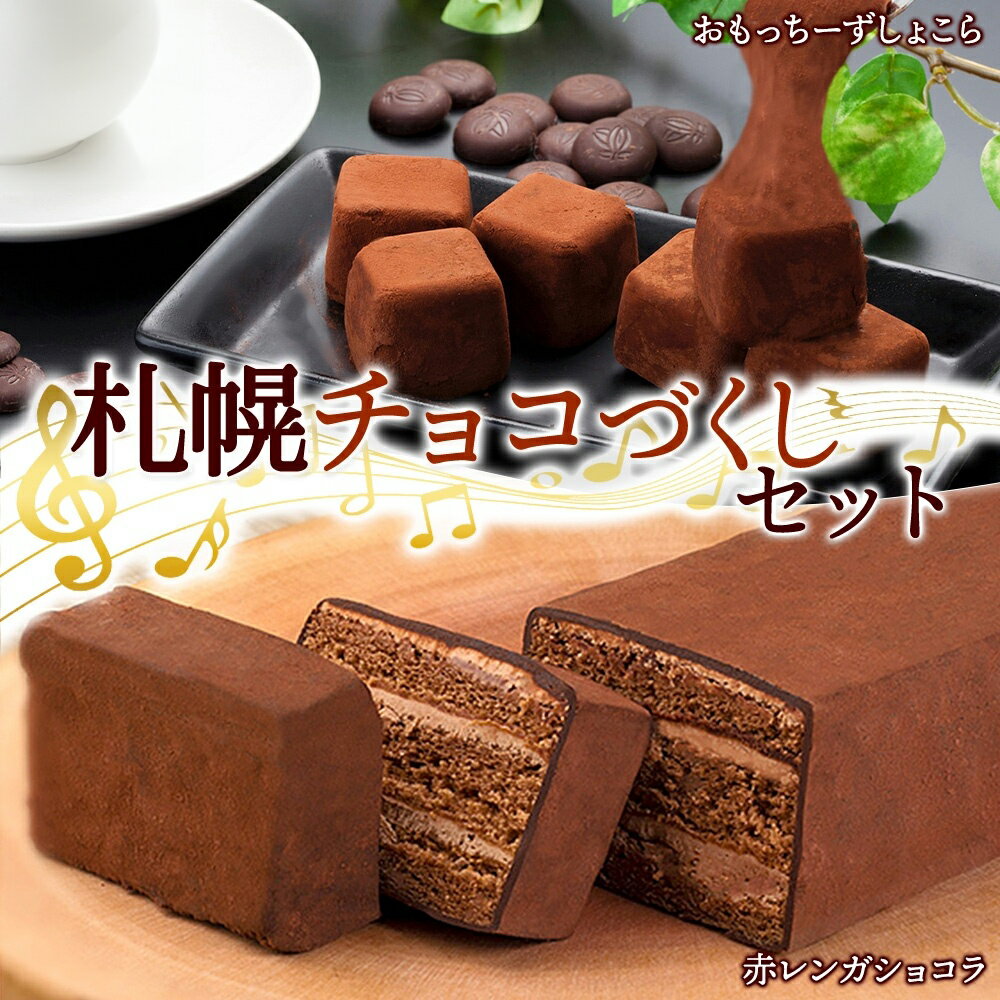 【ふるさと納税】 チョコ セット おもっちーず しょこら 赤レンガショコラ ガトーショコラ チョコレート ビター チョコづくし お菓子 詰め合わせ おやつ 冷凍 ギフト プレゼント お土産 グルメ お取り寄せ わらく堂 北海道 札幌市