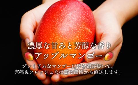 KU325 訳あり 宮崎完熟マンゴー(約2kg・大小混合3～5個) 【やました農園】