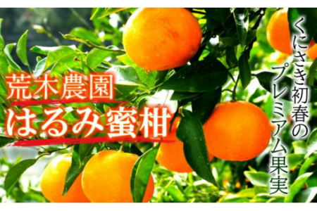 【令和8年2月から発送】荒木農園のはるみ4kg/弾ける果肉に感動のプレミアム蜜柑_1395R
