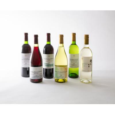 ふるさと納税 韮崎市 韮崎産赤白ワイン飲み比べ6本セット　750ml×6本 |  | 01