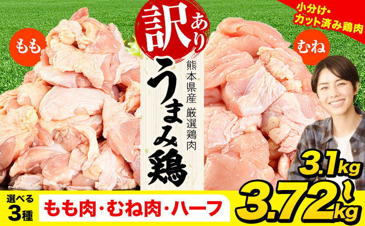 
            鶏肉 選べる もも肉 or むね肉 うまみ鶏 大容量 小分け  鶏もも肉 鶏むね肉 肉 若どり もも モモ むね ムネ 個包装 熊本県産 《1-5営業日以内に出荷予定(土日祝除く)》鶏肉 モモ肉 鶏モモ 鶏ムネ ムネ肉 鶏肉 モモ肉 訳ありムネ肉 冷凍 冷凍鶏肉 冷凍モモ肉 冷凍ムネ肉 国産 国産鶏肉 国産モモ肉 国産ムネ肉 九州産 九州産鶏肉
          