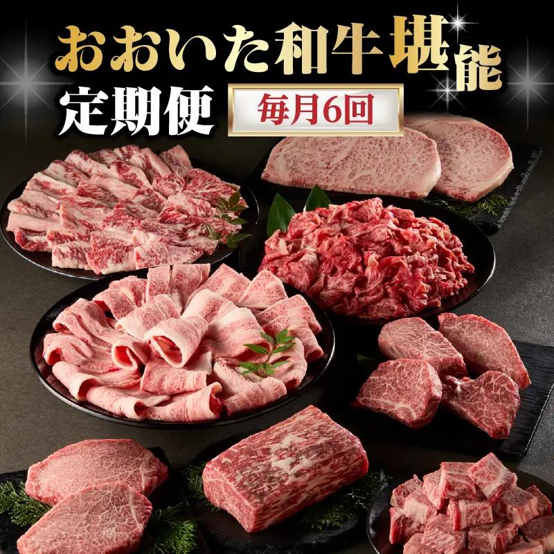 【毎月配送】【おおいた和牛堪能】毎月6回お届け定期便 T10099