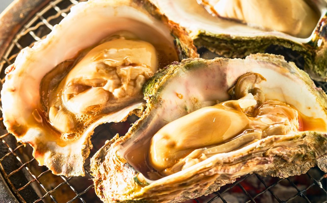 夏季限定！ 安宅産 天然 岩がき 大サイズ 3kg (6~8個)【石川県漁業協同組合小松支所】