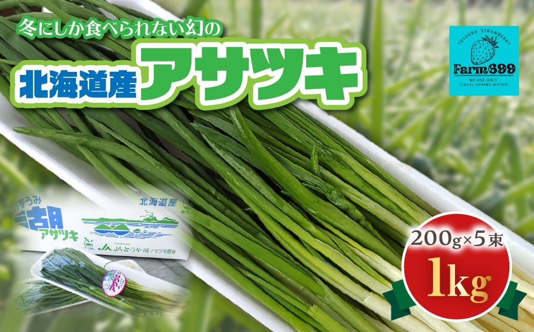 
            【2026年2月上旬以降順次発送】北海道産アサツキ 1kg 【 ふるさと納税 人気 おすすめ ランキング 野菜 やさい ねぎ ネギ 葱 アカツキ あかつき セット おいしい 美味しい 北海道 豊浦町 送料無料 】 TYUAH004
          