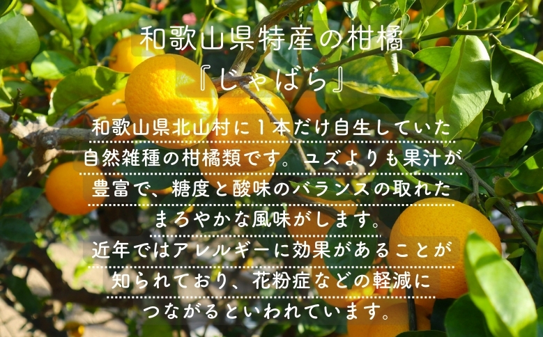 砂糖不使用じゃばらマーマレード（140g×２本）【kmys0019A】